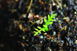 大数据的实用技巧合集